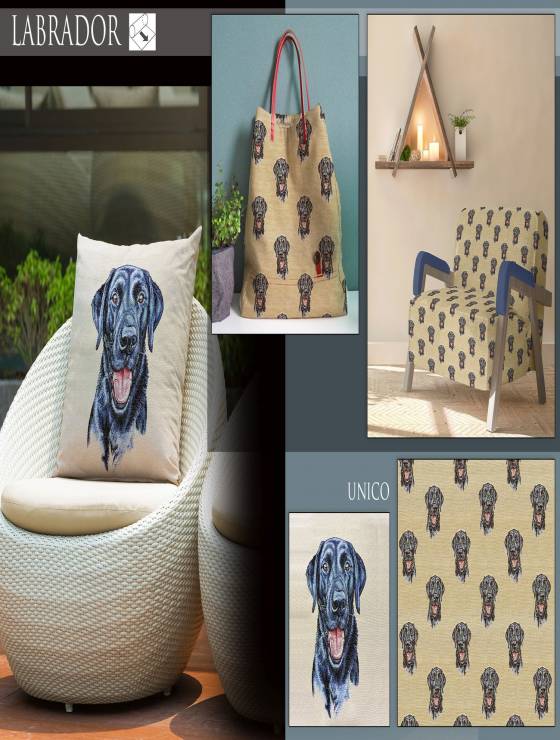labrador