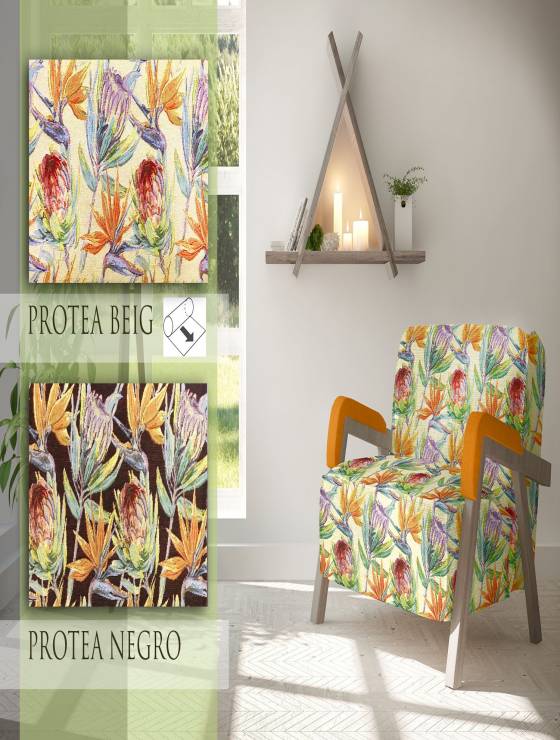 protea